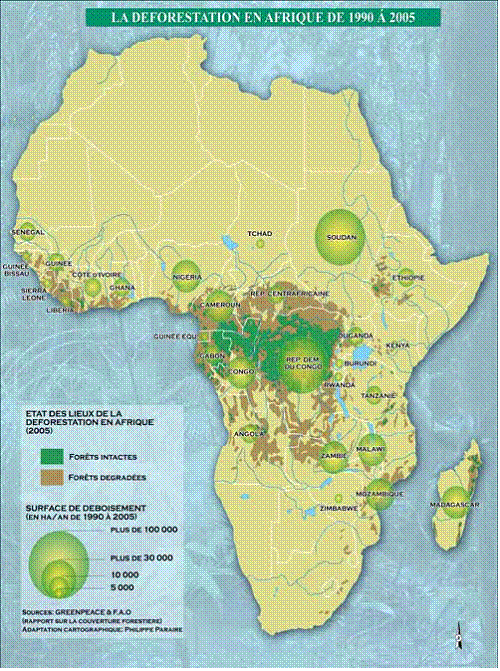 carte de la déforestation en Afrique 1990-2005