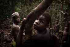 De jeunes Bayaka en forêt à Bayanga, dans l'extrême sud-ouest de la Centrafrique, le 13 mars 2020