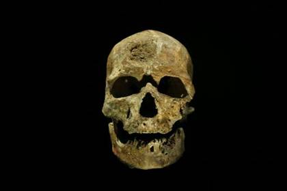 Le crne de l'homme de Cro-Magnon, au muse de l'Homme de Paris, le 13 octobre 2015