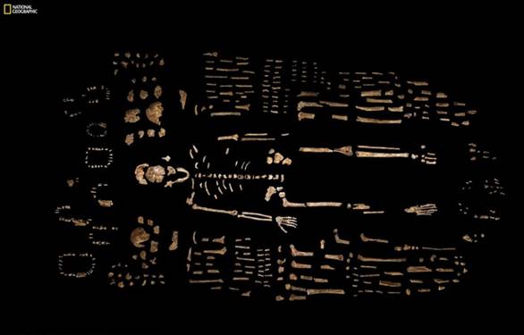 Les ossements trouvs en Afrique du Sud - Homo Naledi
