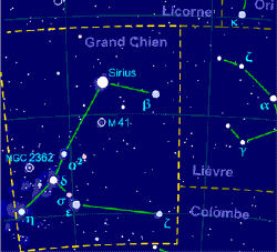 La constellation du Grand Chien est une des plus vieilles constellations avec Sirius, l'étoile la plus brillante. Photo © DR